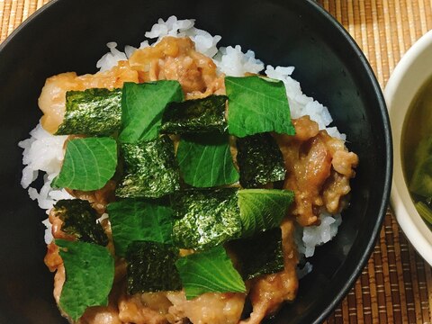 キャラ飯⭐炭次郎羽織りスタミナどんぶり